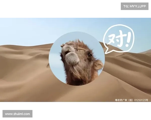 中国平安省到长安,超威痛击沙漠蚊题,无印良品链接人与物的对话 中国平安省到长安,超威痛击沙漠蚊题,无印良品链接人与物的对话